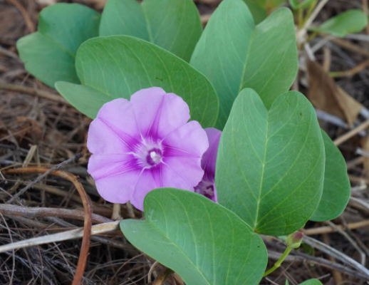 annual report photos resized for website 1-12